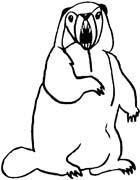 immagine animali foresta da colorare