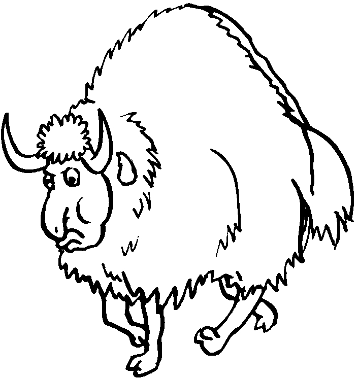 immagine animali foresta da colorare