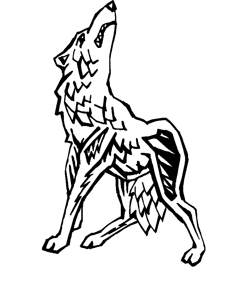 immagine animali foresta da colorare