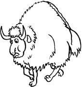 immagine animali foresta da colorare