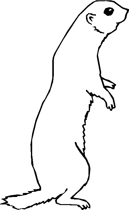 immagine animali foresta da colorare