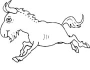 immagine animali foresta da colorare