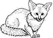 immagine animali foresta da colorare