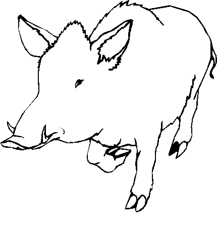 immagine animali foresta da colorare