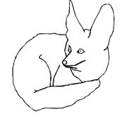 immagine animali foresta da colorare