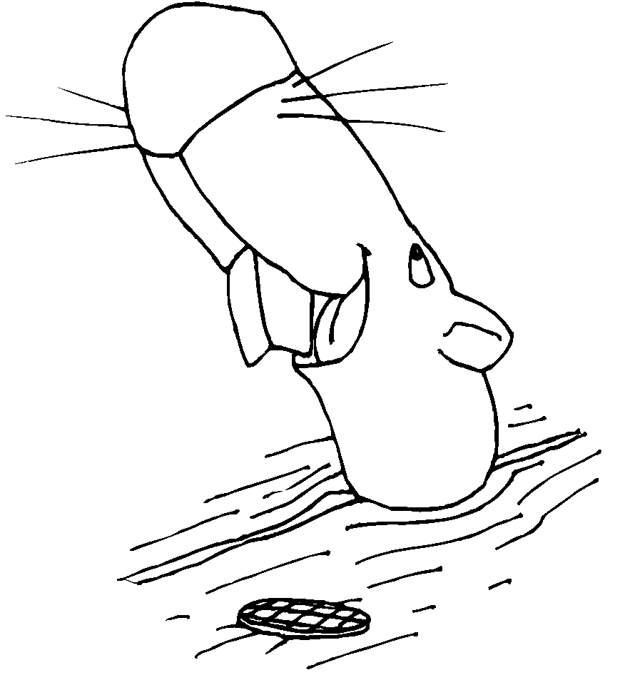 immagine animali foresta da colorare