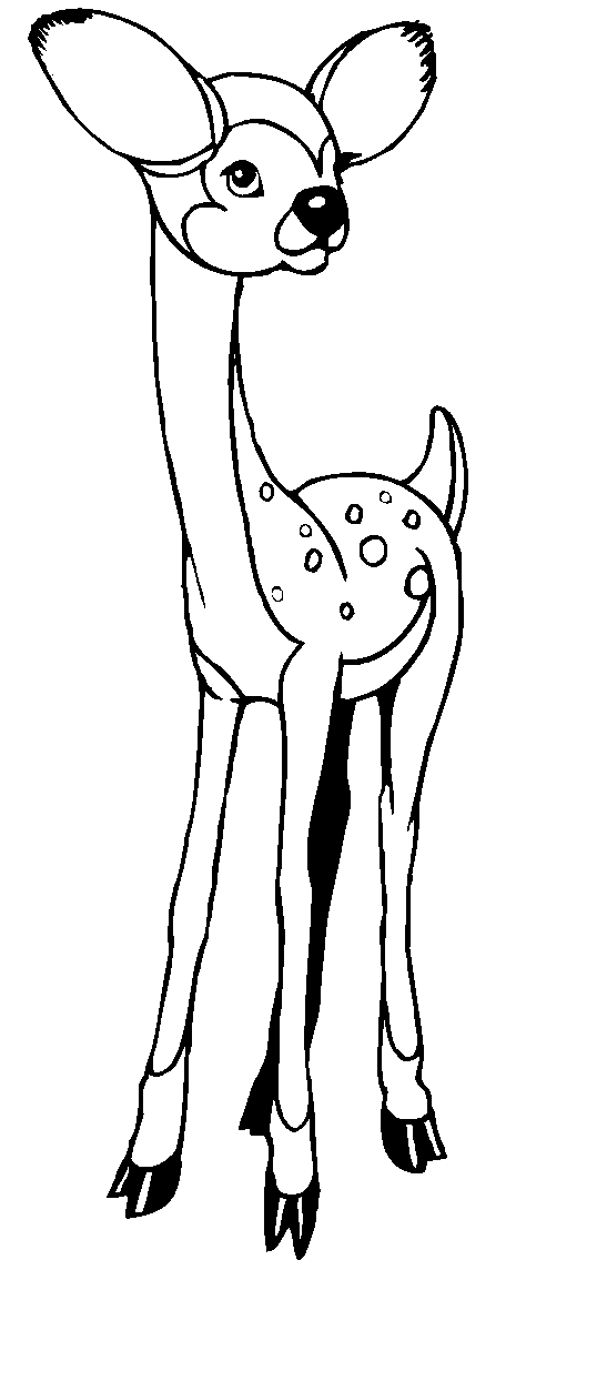 immagine animali foresta da colorare