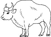 immagine animali foresta da colorare