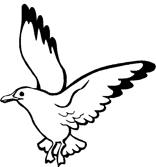 immagine animali misti da colorare