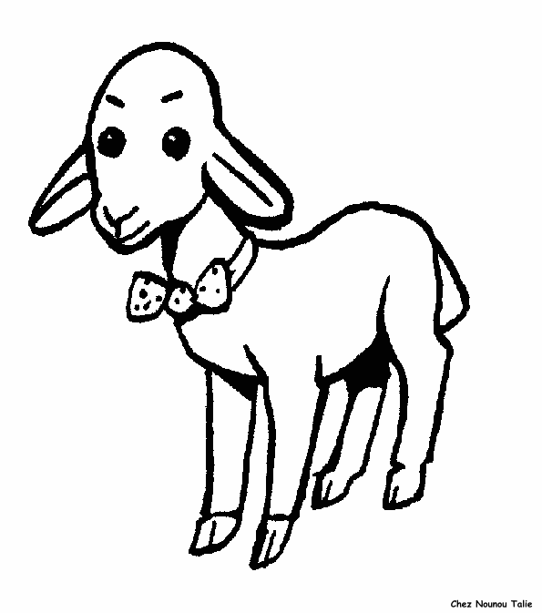 immagine animali misti da colorare