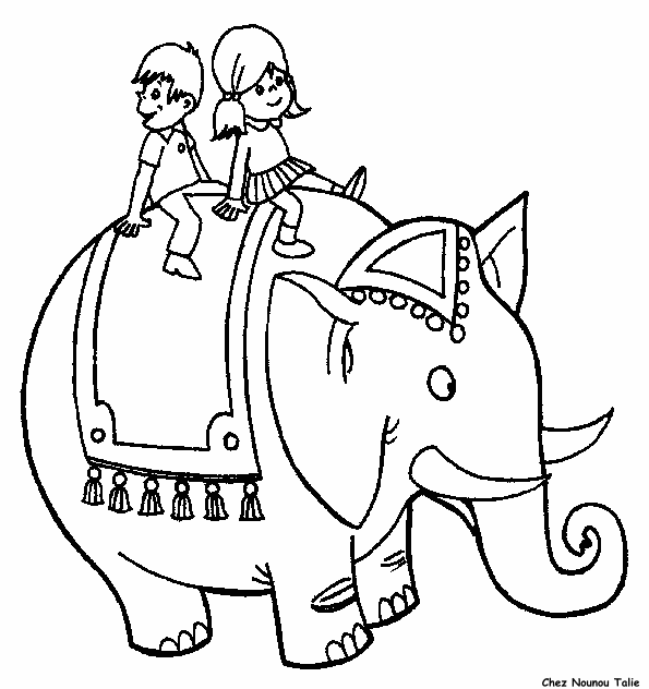 immagine animali misti da colorare