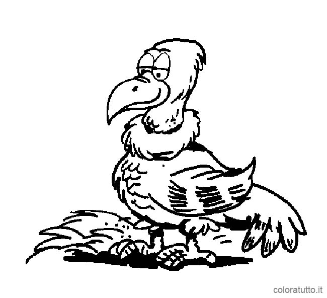 immagine animali misti da colorare