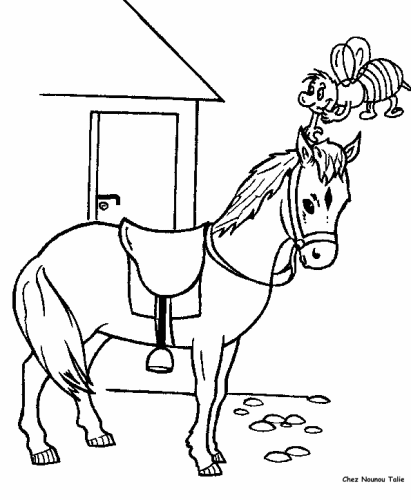 immagine animali misti da colorare