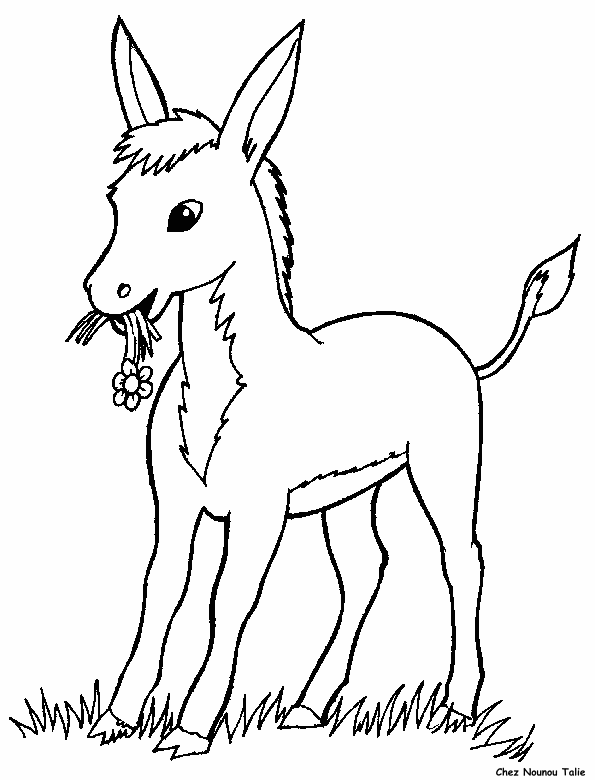 immagine animali misti da colorare