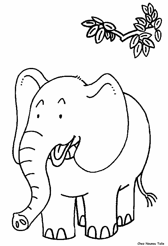 immagine animali misti da colorare