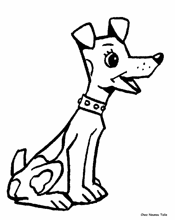 immagine animali misti da colorare