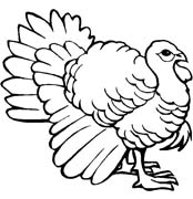 immagine animali misti da colorare