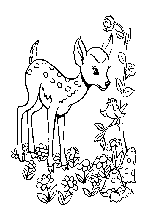 immagine animali misti da colorare