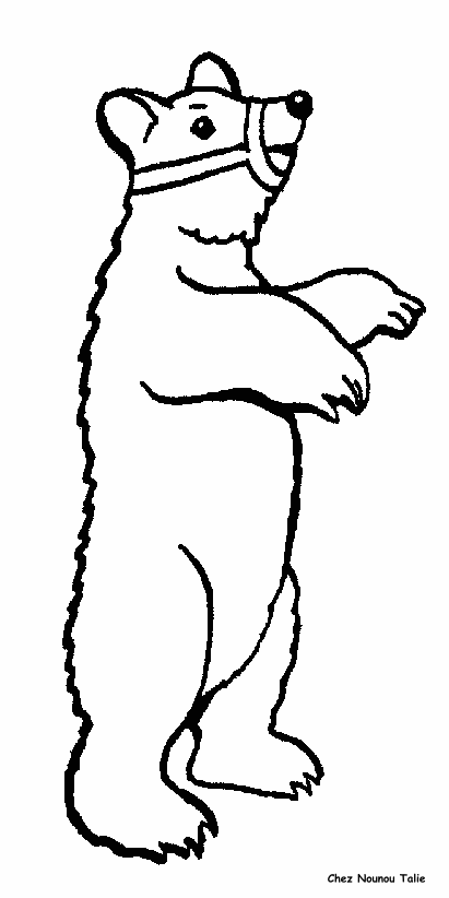 immagine animali misti da colorare