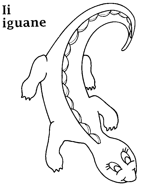 immagine animali misti da colorare