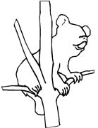 immagine animali tropicali da colorare