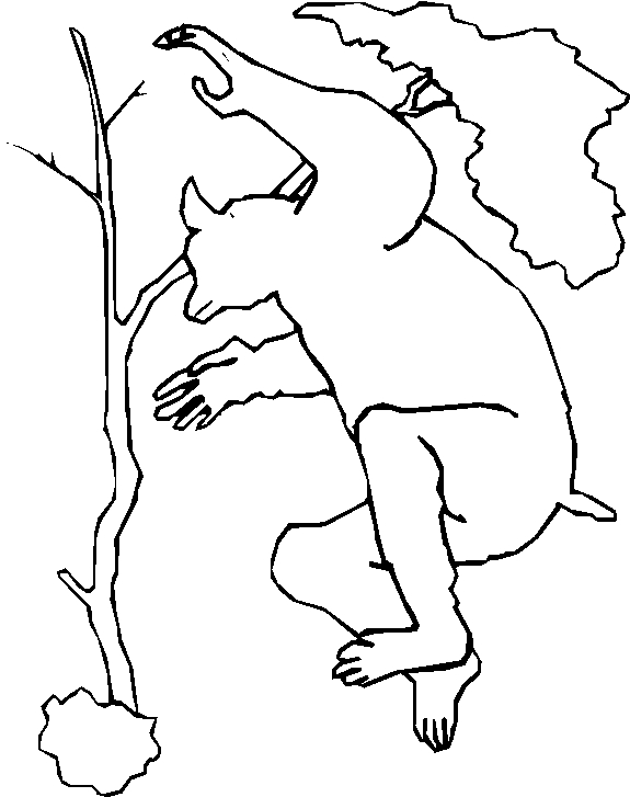 immagine animali tropicali da colorare