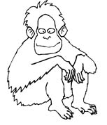 immagine animali tropicali da colorare