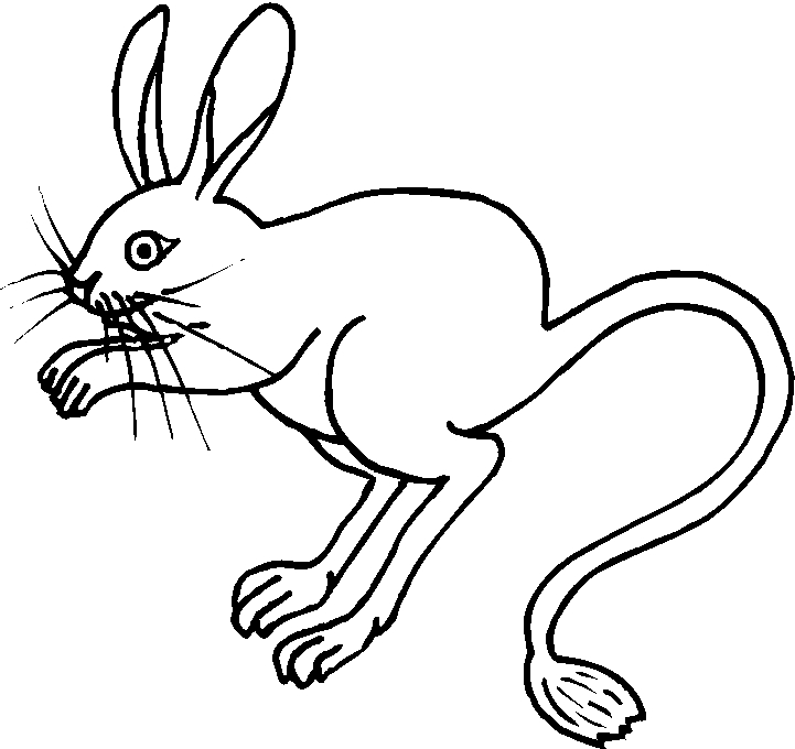 immagine animali tropicali da colorare