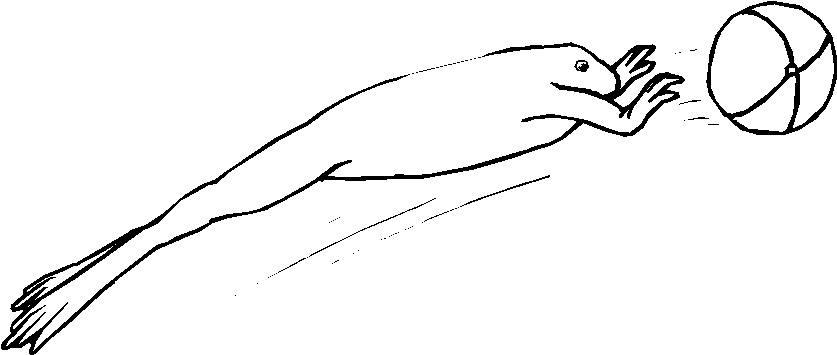 immagine animali tropicali da colorare