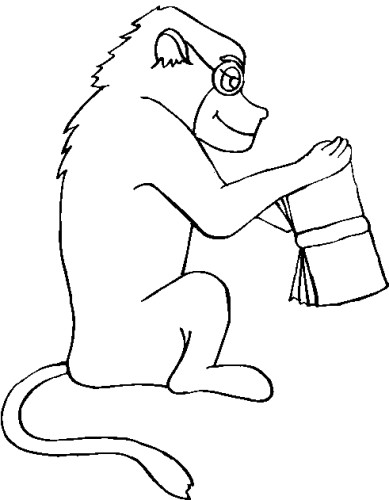 immagine animali tropicali da colorare