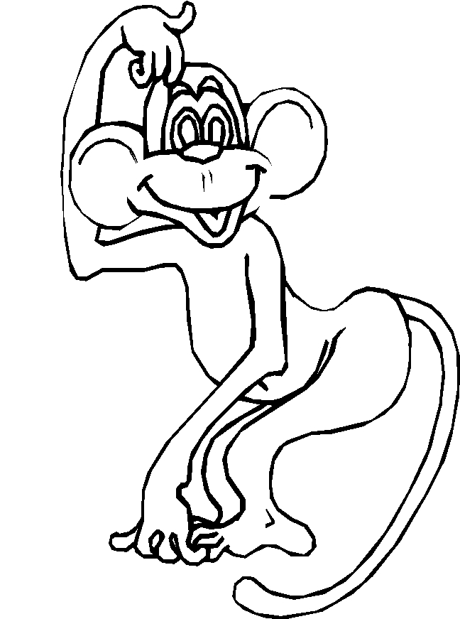 immagine animali tropicali da colorare