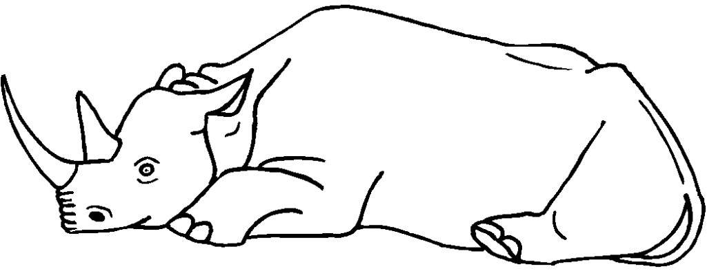 immagine animali tropicali da colorare