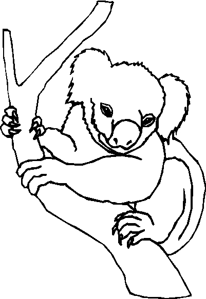 immagine animali tropicali da colorare