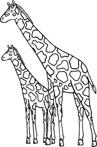 immagine animali tropicali da colorare