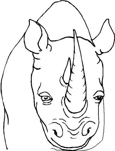 immagine animali tropicali da colorare