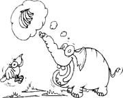 immagine animali tropicali da colorare