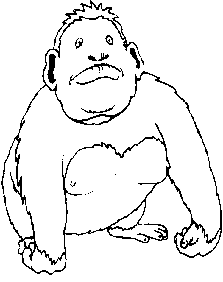 immagine animali tropicali da colorare