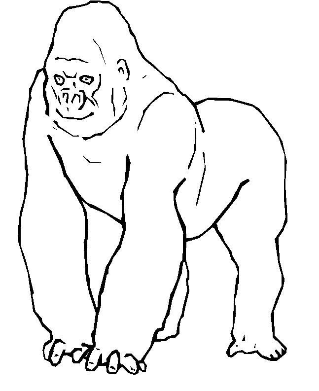 immagine animali tropicali da colorare