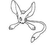 immagine animali tropicali da colorare