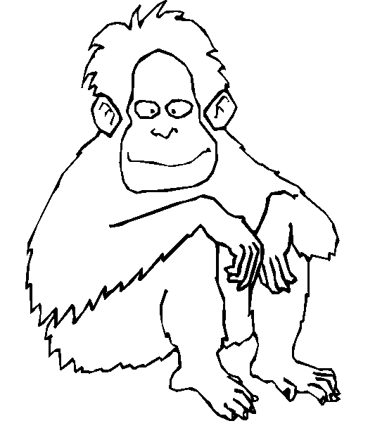 immagine animali tropicali da colorare