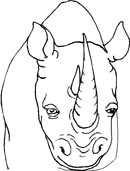 immagine animali tropicali da colorare