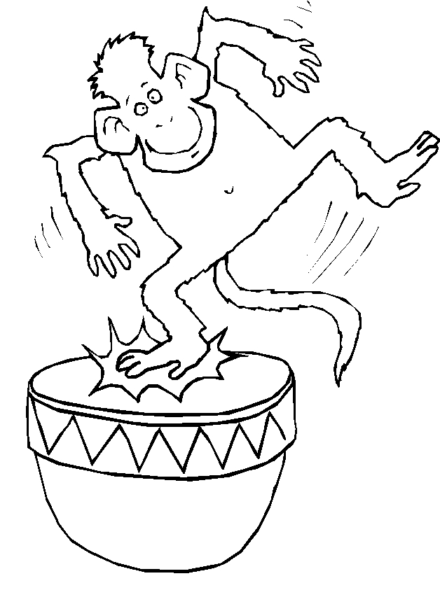 immagine animali tropicali da colorare