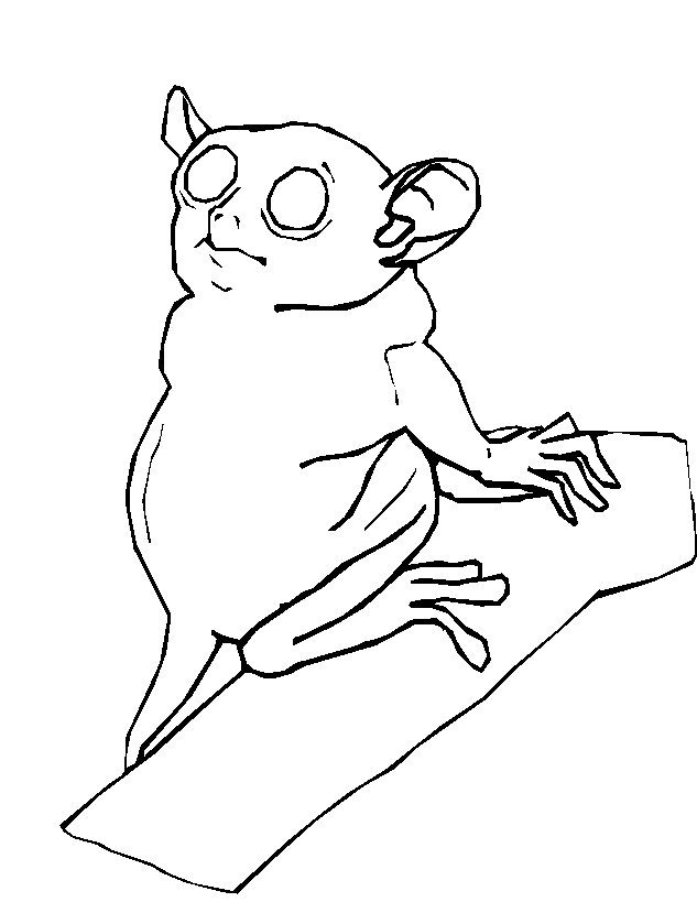 immagine animali tropicali da colorare