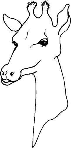 immagine animali tropicali da colorare