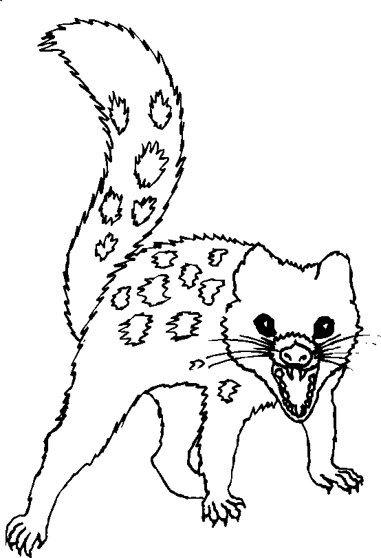 immagine animali tropicali da colorare