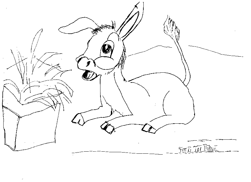 immagine asino da colorare