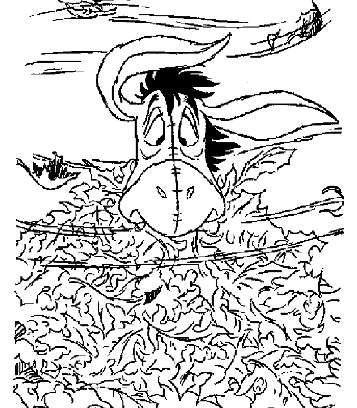 immagine asino da colorare