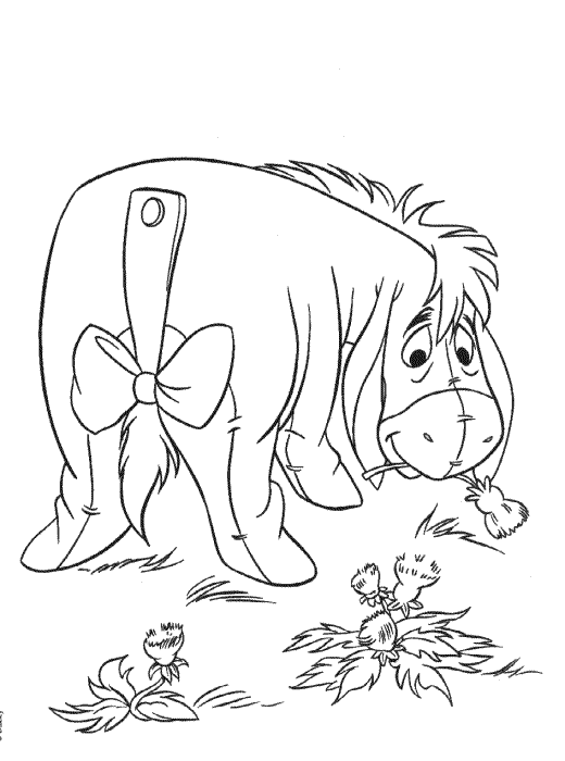 immagine asino da colorare