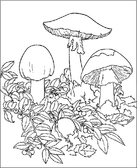 immagine autunno da colorare