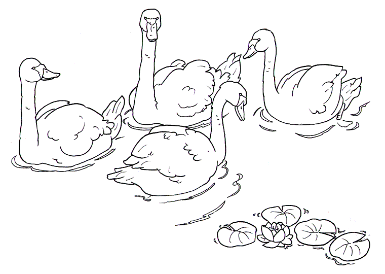 immagine brutto anatroccolo da colorare